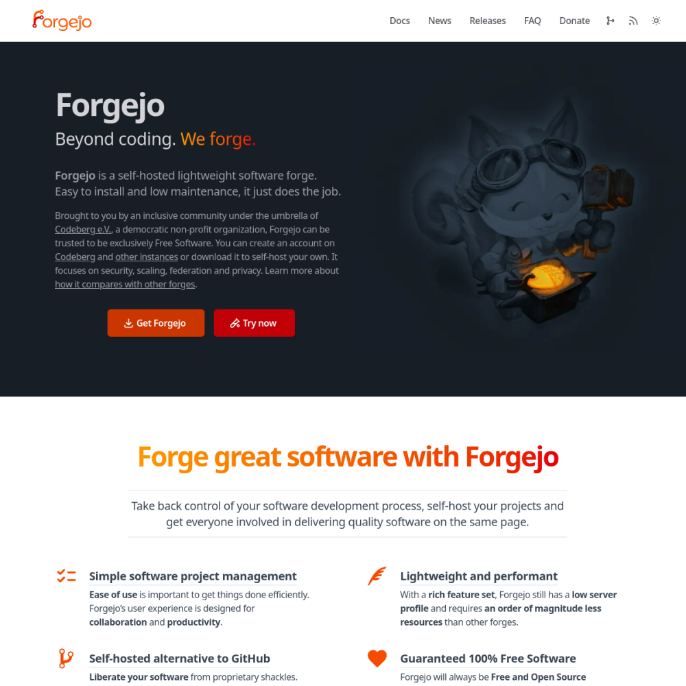 Screenshot of Forgejo website