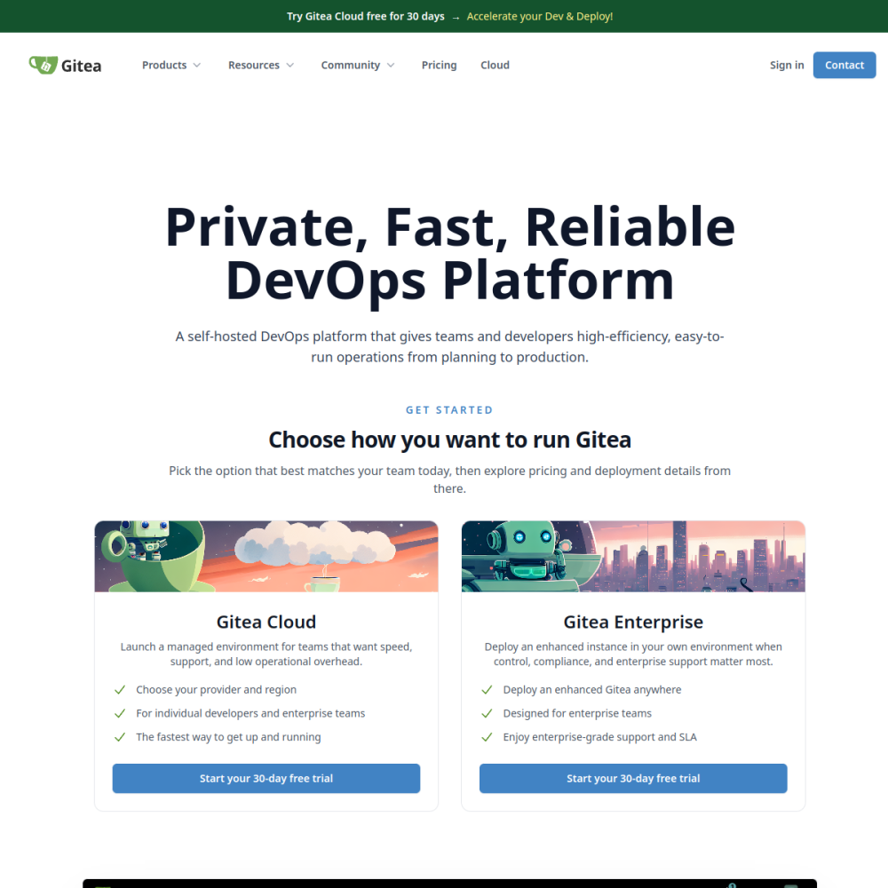 Screenshot of Gitea website
