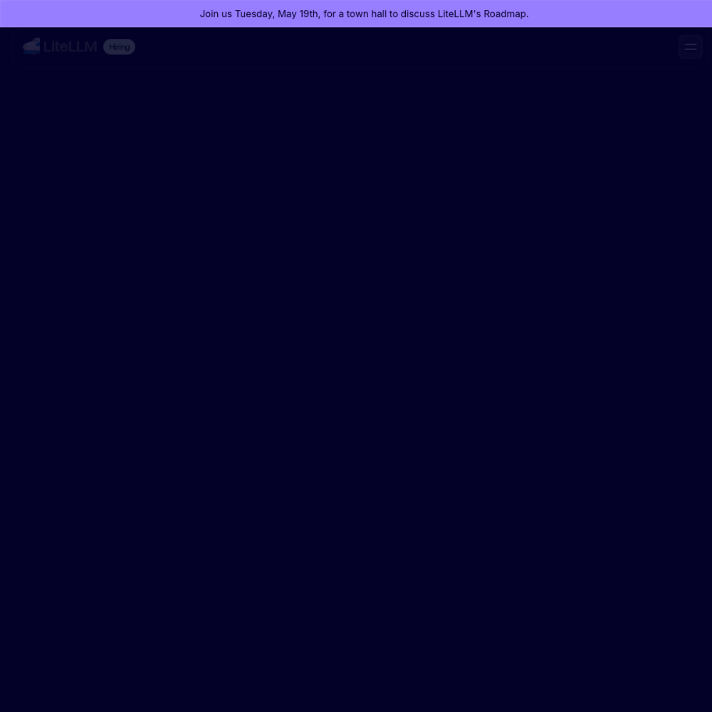 Screenshot of LiteLLM website