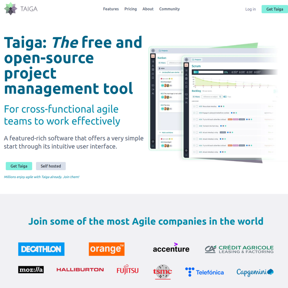 Screenshot of Taiga website