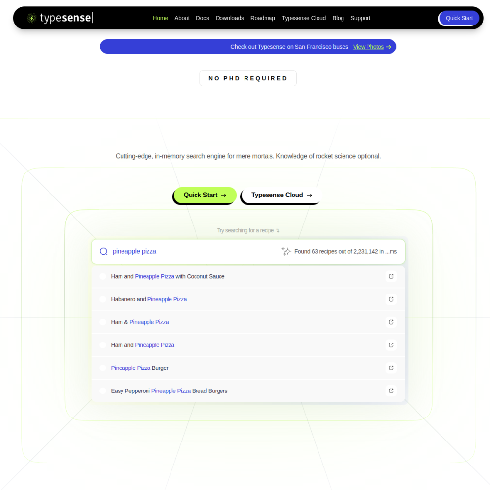 Screenshot of Typesense website